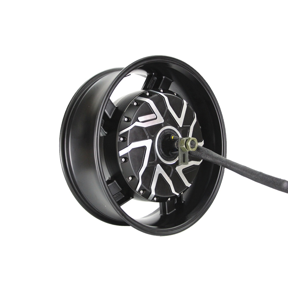 Motor de buje para motocicleta - 12000W Electric Motorcycle Hub Motor reseña y precio